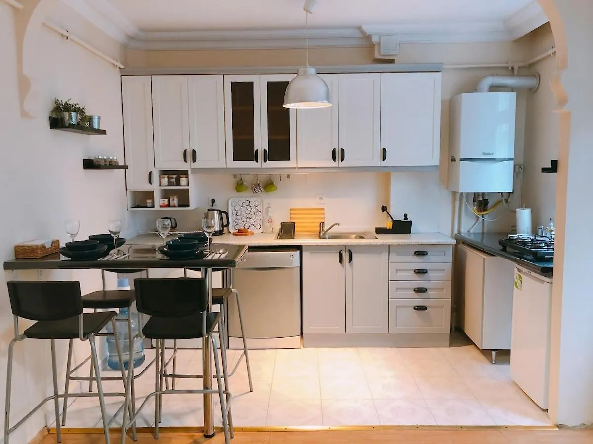 Comfy & Spacious Flat In The Center Of Cihangir Istanboel 0*,
