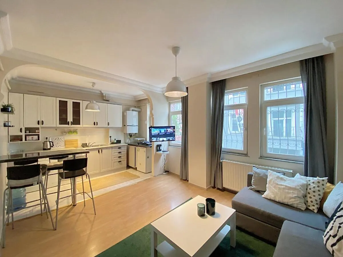 Comfy & Spacious Flat In The Center Of Cihangir Istanboel